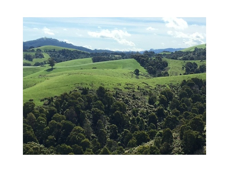 307 Toora-Gunyah Rd, Toora VIC 3962