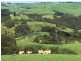 307 Toora-Gunyah Rd, Toora VIC 3962