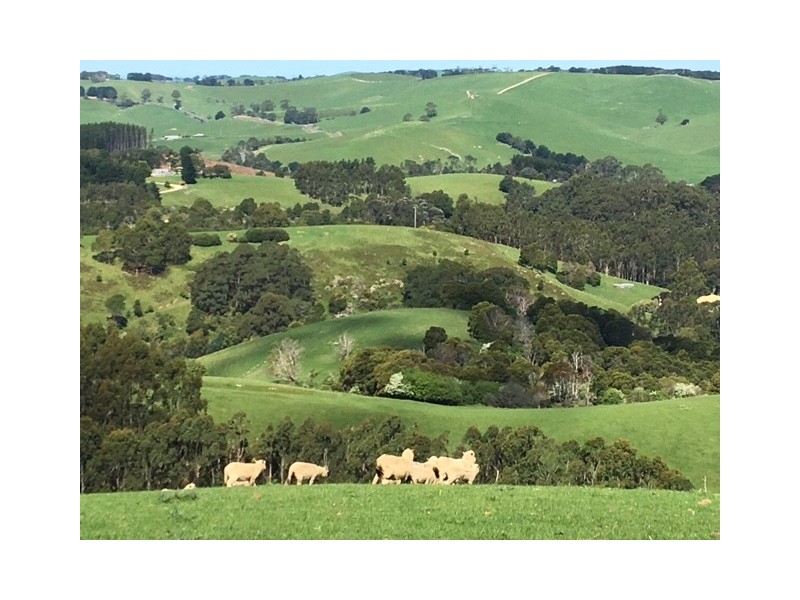 307 Toora-Gunyah Rd, Toora VIC 3962