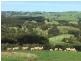 307 Toora-Gunyah Rd, Toora VIC 3962