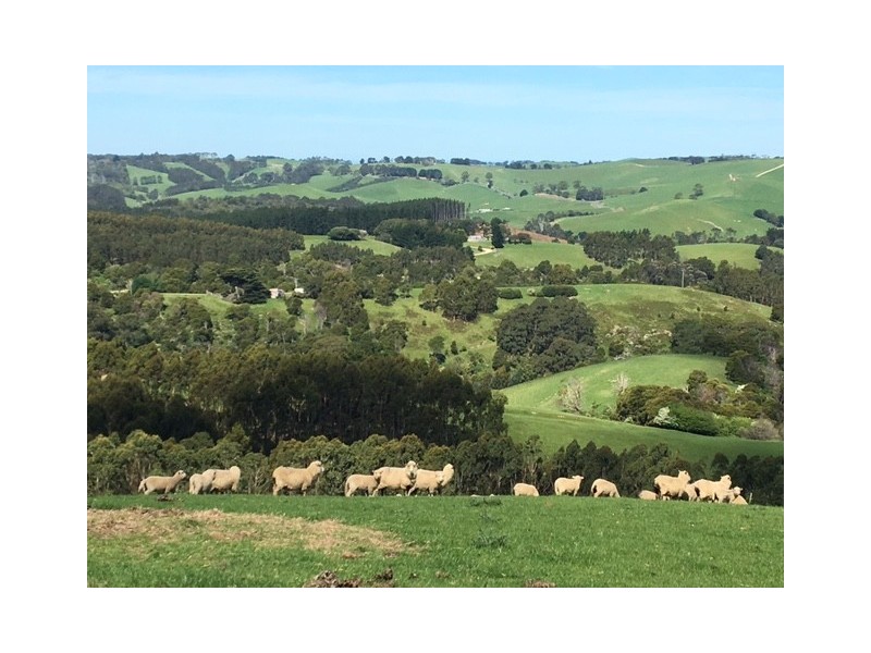 307 Toora-Gunyah Rd, Toora VIC 3962