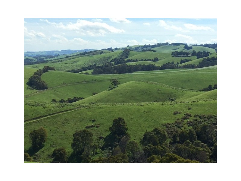 307 Toora-Gunyah Rd, Toora VIC 3962