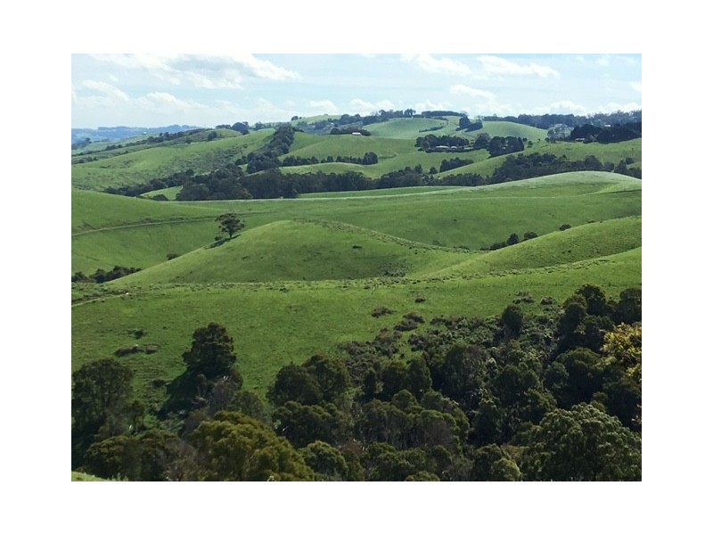 307 Toora-Gunyah Rd, Toora VIC 3962