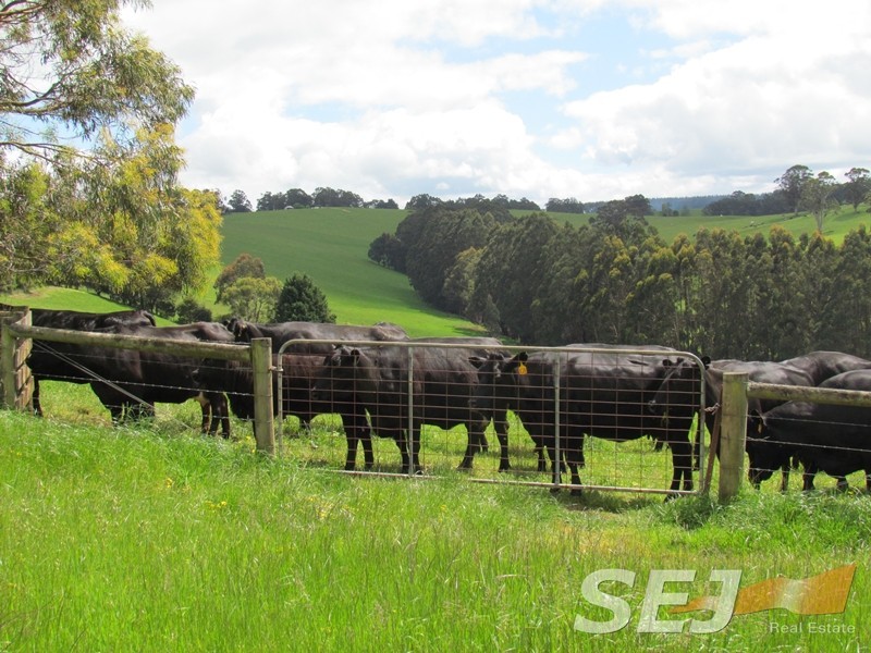 106 Schofield Road, Narracan VIC 3824