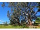 6 Minns Road, Koonwarra VIC 3954