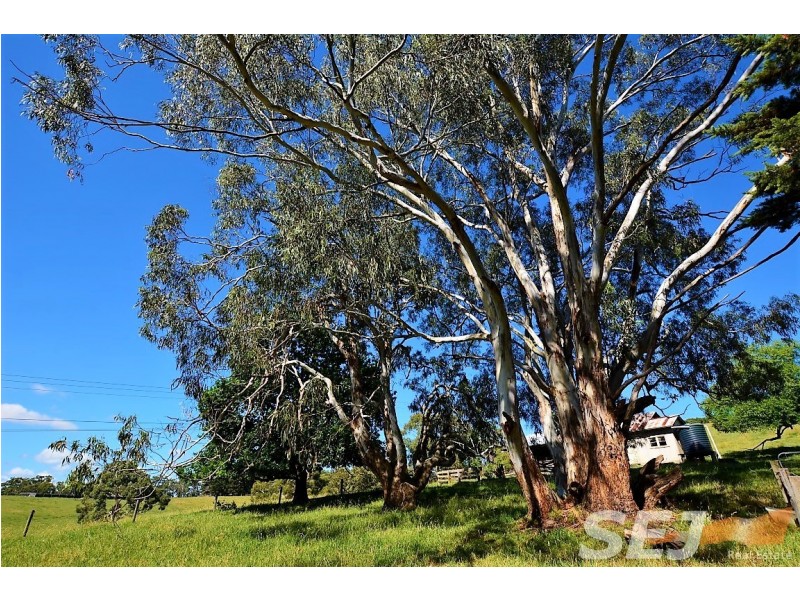 6 Minns Road, Koonwarra VIC 3954