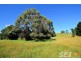 6 Minns Road, Koonwarra VIC 3954