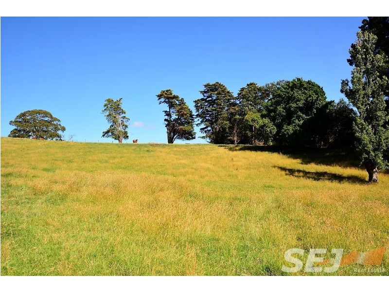 6 Minns Road, Koonwarra VIC 3954