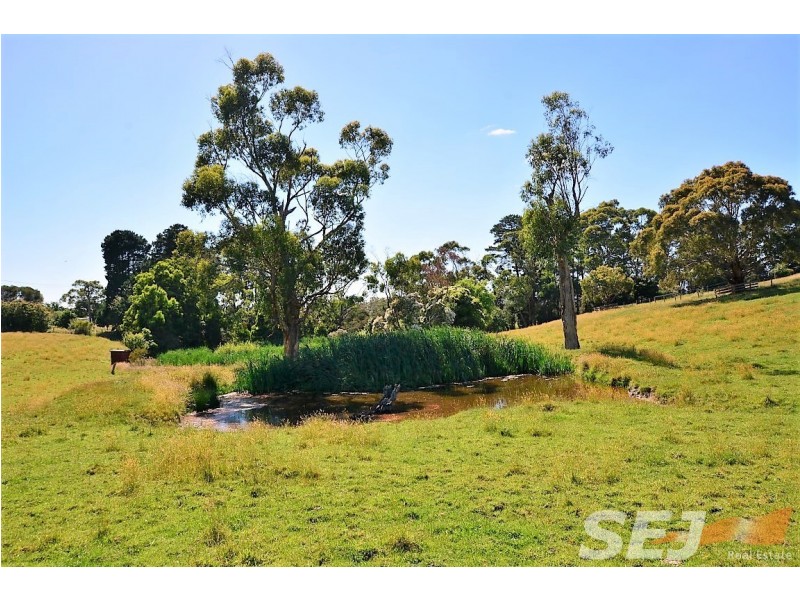 6 Minns Road, Koonwarra VIC 3954