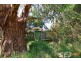 6 Minns Road, Koonwarra VIC 3954