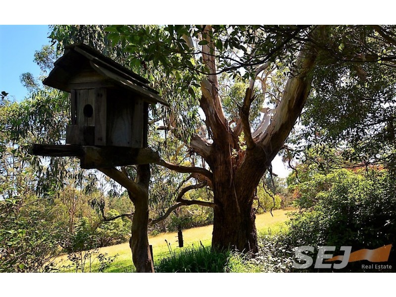 6 Minns Road, Koonwarra VIC 3954