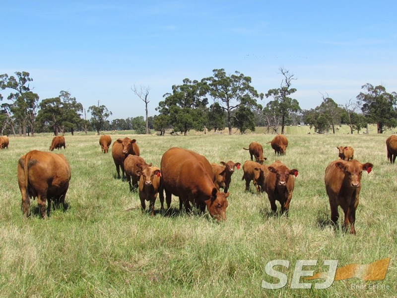 Lot 2 Millers Road, Trafalgar East VIC 3824