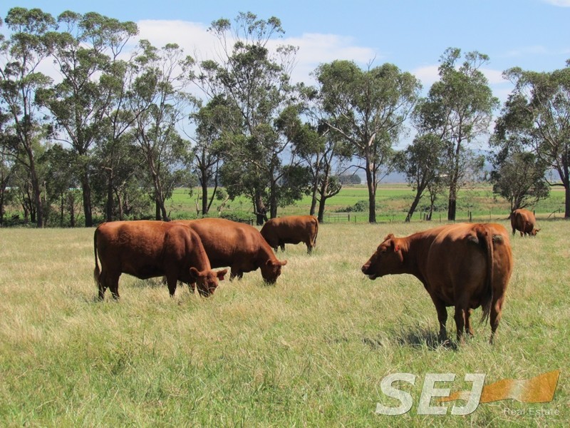 Lot 2 Millers Road, Trafalgar East VIC 3824