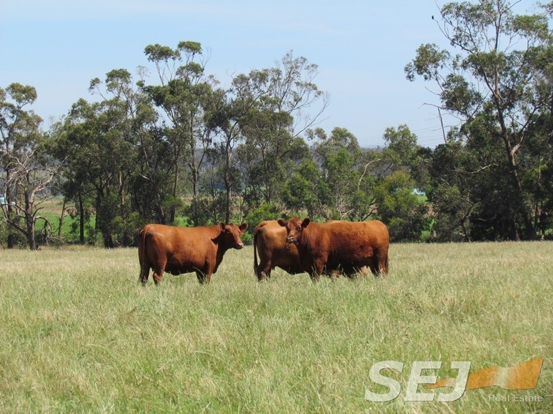 Lot 2 Millers Road, Trafalgar East VIC 3824