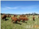 Lot 2 Millers Road, Trafalgar East VIC 3824