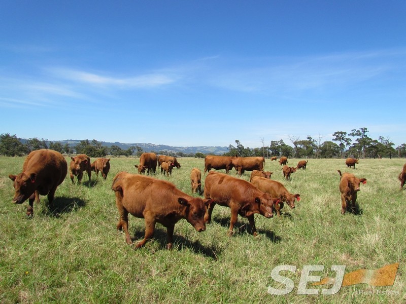 Lot 2 Millers Road, Trafalgar East VIC 3824