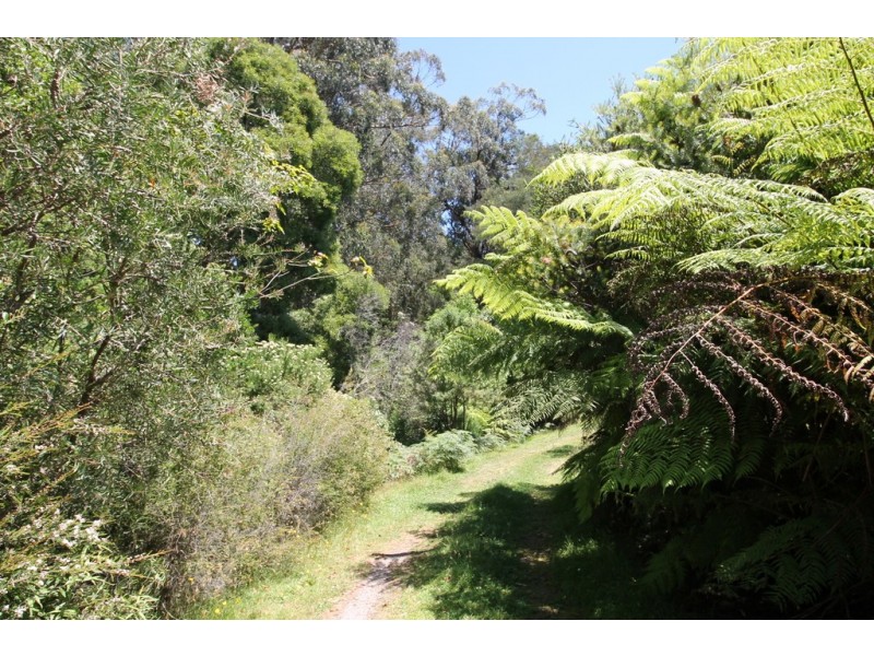310 McCartins Rd, Foster VIC 3960