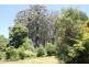 310 McCartins Rd, Foster VIC 3960
