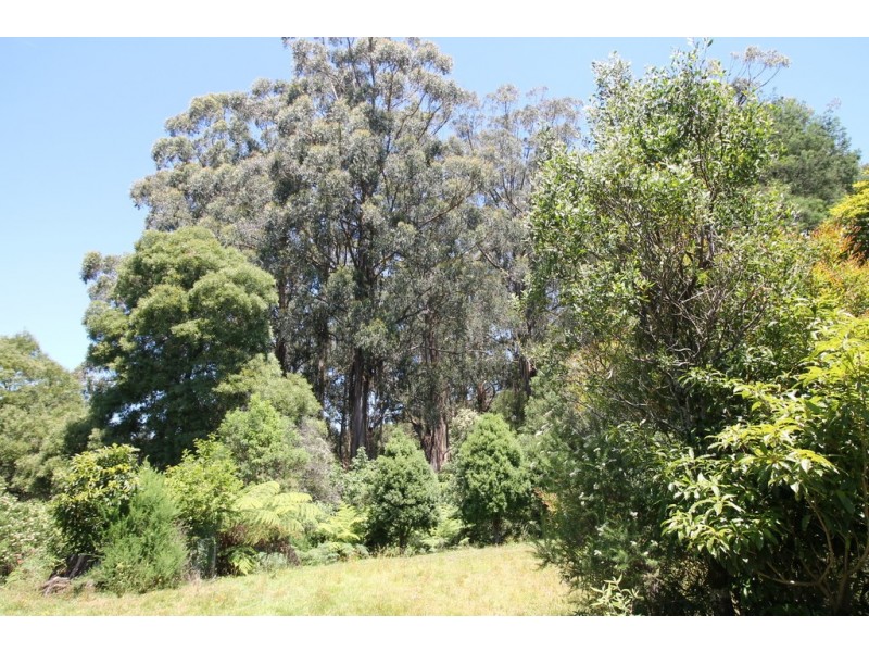 310 McCartins Rd, Foster VIC 3960