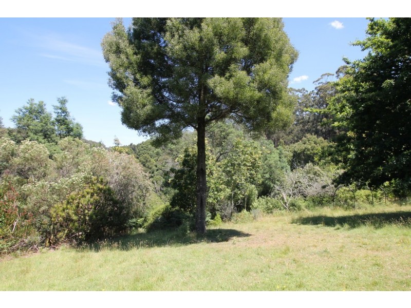 310 McCartins Rd, Foster VIC 3960