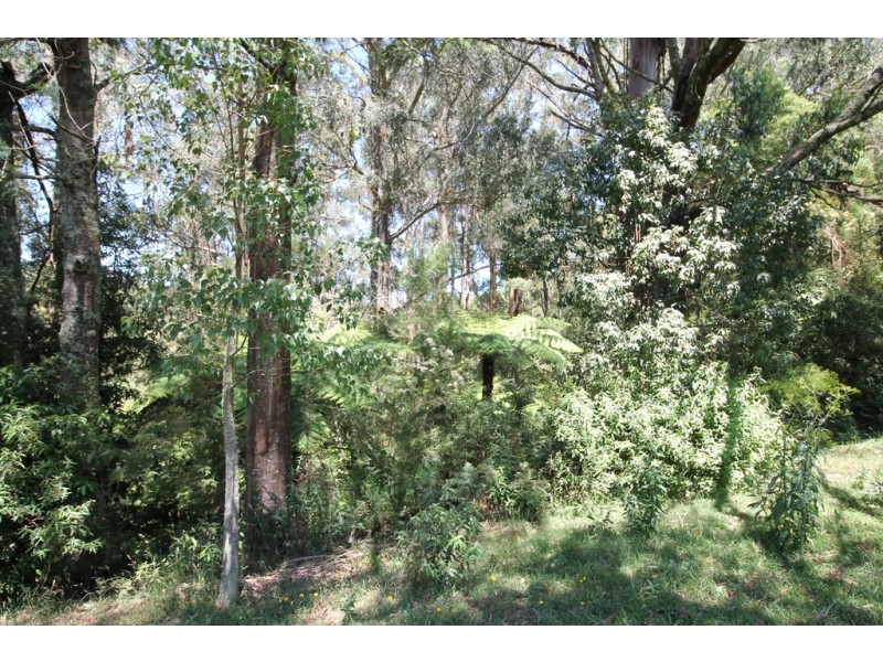 310 McCartins Rd, Foster VIC 3960