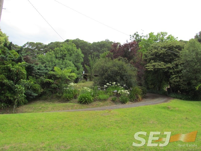 504 Neerim North – Noojee Road, Noojee VIC 3833