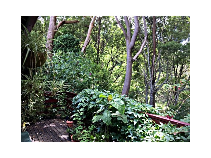 380 Foster-Mirboo Rd, Foster VIC 3960