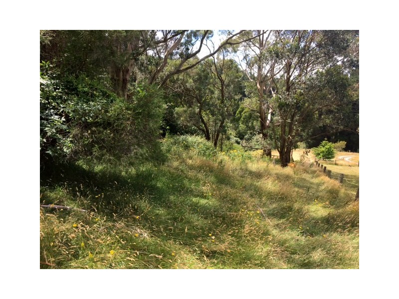 380 Foster-Mirboo Rd, Foster VIC 3960