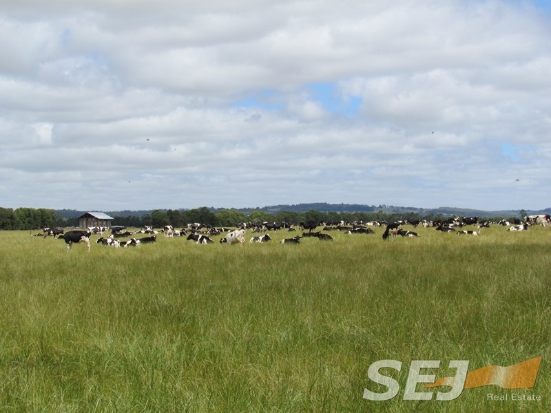 180 North Yannathan Road, Modella VIC 3816