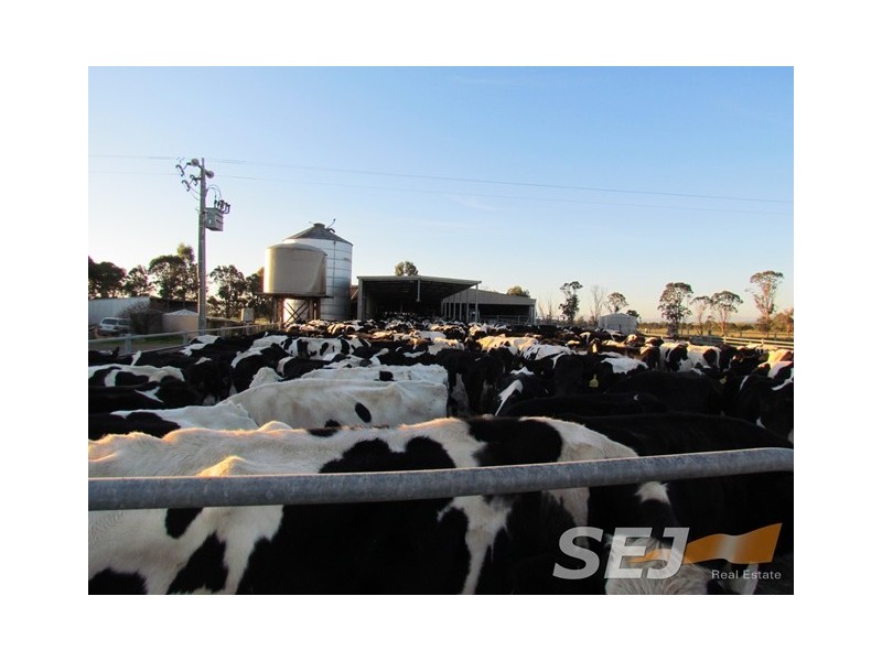 180 North Yannathan Road, Modella VIC 3816