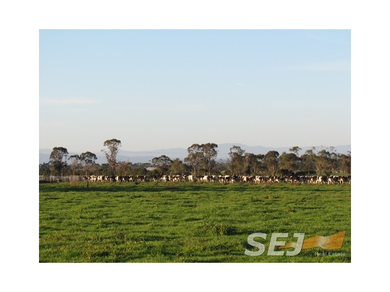 180 North Yannathan Road, Modella VIC 3816