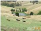 150 Territory Road, Strzelecki VIC 3950
