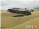 150 Territory Road, Strzelecki VIC 3950