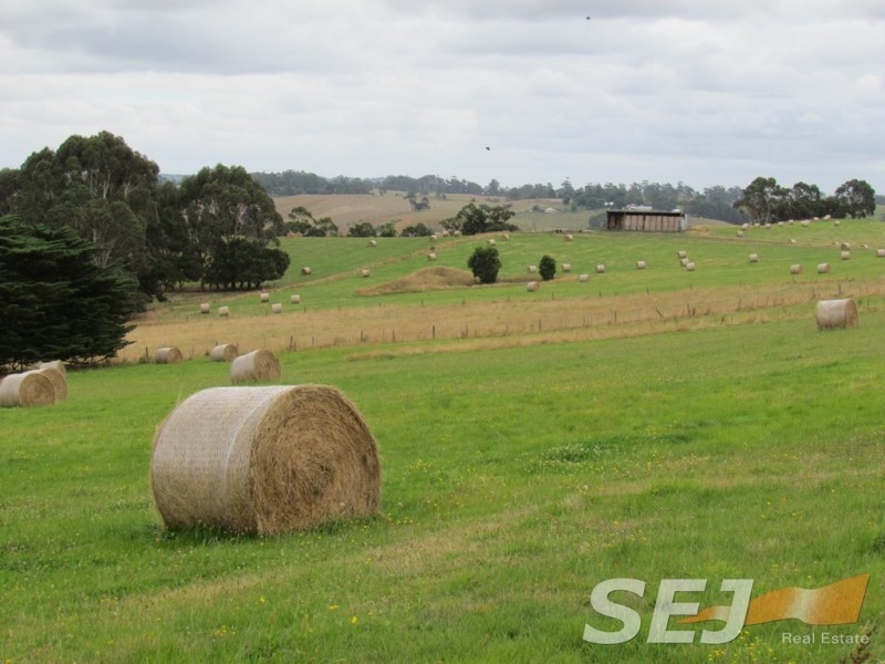150 + 185 Territory Road, Strzelecki VIC 3950