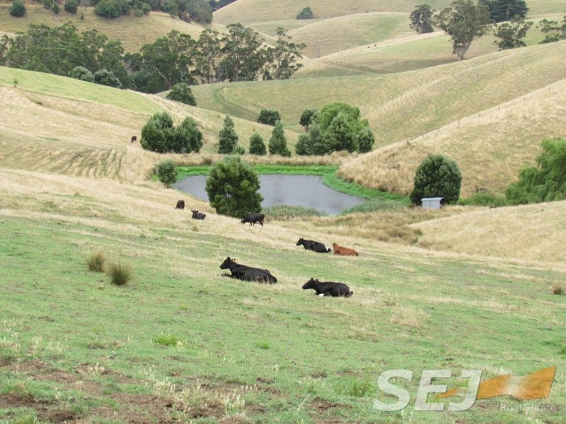 150 + 185 Territory Road, Strzelecki VIC 3950