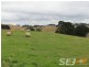 150 + 185 Territory Road, Strzelecki VIC 3950