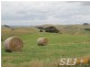 150 + 185 Territory Road, Strzelecki VIC 3950