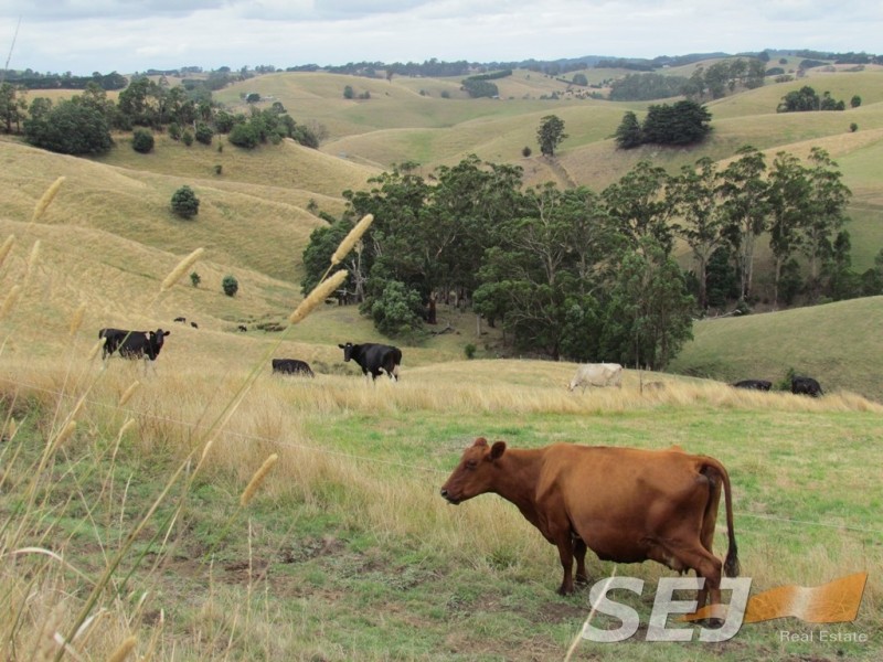 150 + 185 Territory Road, Strzelecki VIC 3950