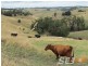150 + 185 Territory Road, Strzelecki VIC 3950