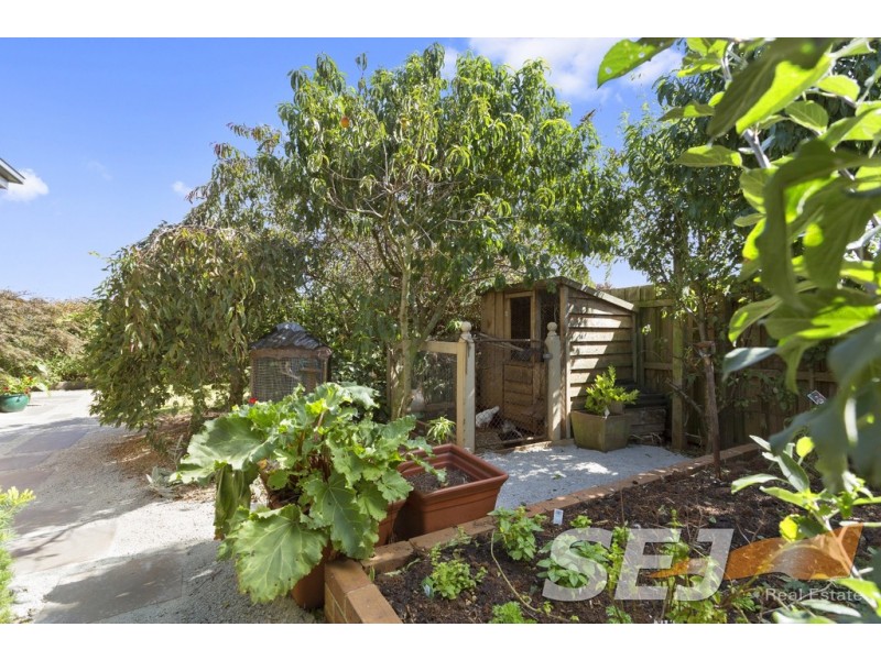 39 Norman Road, Drouin VIC 3818