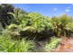 39 Norman Road, Drouin VIC 3818