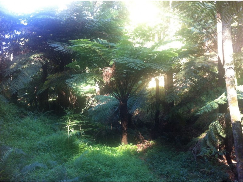 18 McGleads Rd, Foster VIC 3960