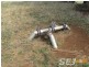 312 + 380 Rogers Road, Trafalgar South VIC 3824