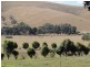 Lot 2 Shands Road, Welshpool VIC 3966
