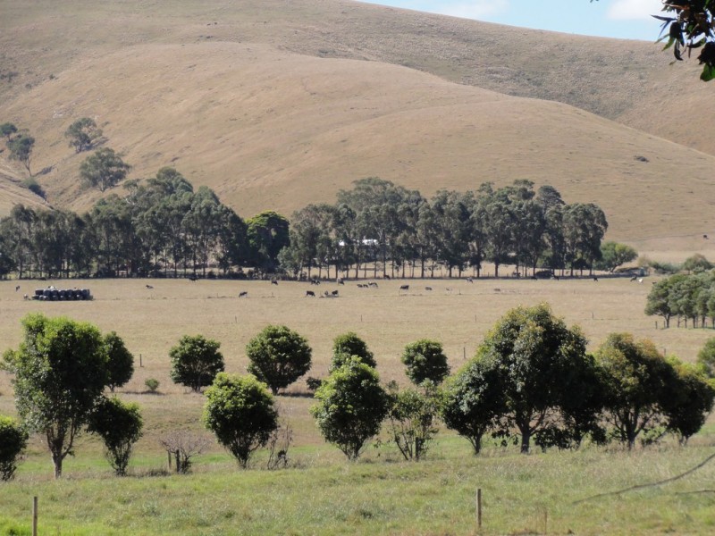 Lot 2 Shands Road, Welshpool VIC 3966