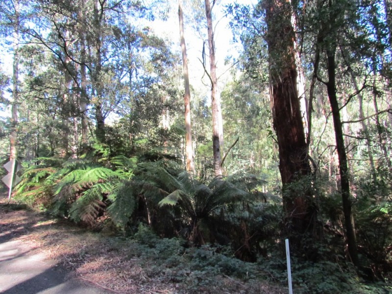 CA 114 Duggan North Road, Fumina VIC 3825