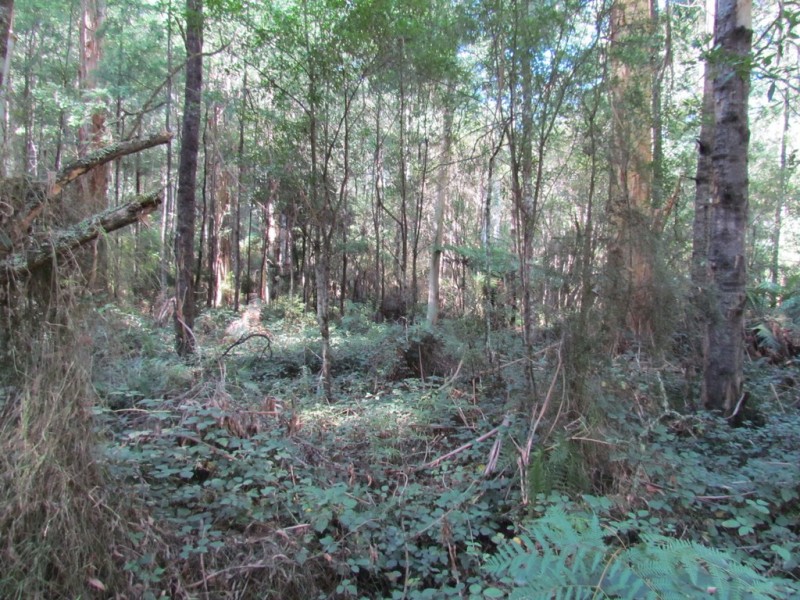 CA 114 Duggan North Road, Fumina VIC 3825