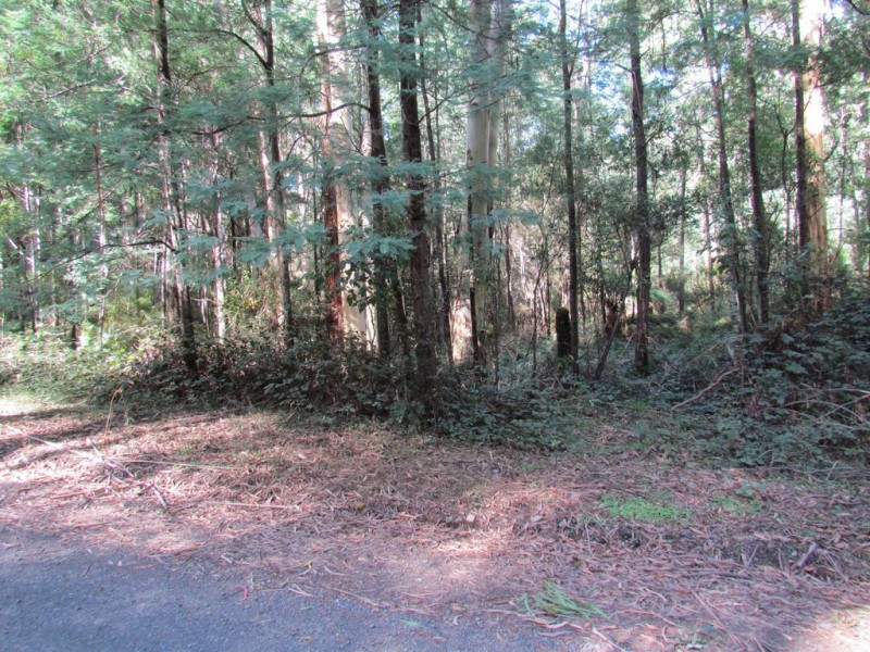 CA 114 Duggan North Road, Fumina VIC 3825