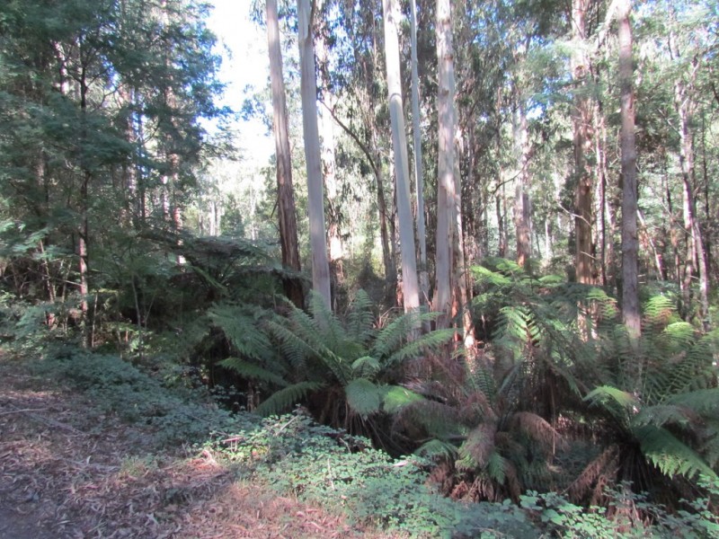 CA 114 Duggan North Road, Fumina VIC 3825