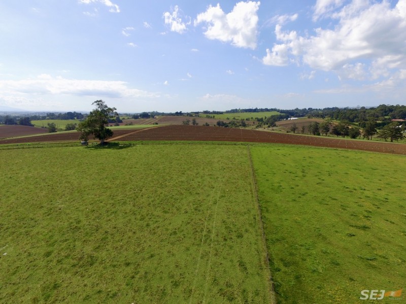 295 Warragul Lardner Road, Warragul VIC 3820